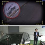 [드루와] 자동차와 물에 빠졌을 때 <b>탈출</b>법.jpg