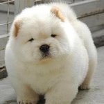 [댓글부탁해] 이마트에서 먹을만한<b>거점</b> 추천해주라!