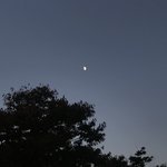 <b>손목</b> 자해̆̈