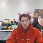 [EXO] 모자 <b>위</b> 말고 바로 <b>머리위</b>에 고양이 헤드셋 쓴거도 존귀당