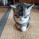 ㅁㅈ야 나 <b>자러</b>갈게~