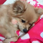 [댓글부탁해] 처음보고 반했음ㅜㅜㅜㅜㅠ