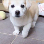 [드루와] 짱절미 <b>new</b>프사