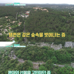 [댓글부탁해] 같은 <b>집</b><b>순</b>이지만 스타일이 다른 써니와 태연