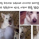 <b>전문</b>학교랑 <b>전문대</b>,지방대 중에서..