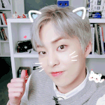 [EXO] <b>정전기</b> 일어난 고양이ㅋㅋㅋㅋㅋㅋㅋ