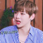 [강다니엘] 내가 제일 좋아하는 강고기