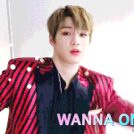 [강다니엘] 강다니엘 갤러리 고발팀 공지