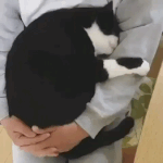 우리 결혼하면 서로 아껴<b>주자</b>