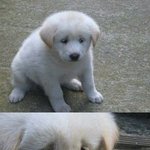 [드루와] 애들아 이거 모야ㅜㅜ