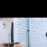 [EXO] 전여친 <b>협박</b> 미친짓은