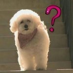 [댓글부탁해] 친해지고 싶은 애한테 선펨할까 말까