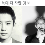 [EXO] 아기 <b>늑대</b> 잘컸다