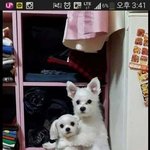 야 나진짜 방귀대장 뿡뿡이급임ㅜㅜㅠ 도와줘