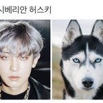 [EXO] <b>정상</b>년들 같이 정화하자