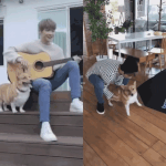 [강다니엘] 너무 ㄱㅇㅇ