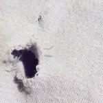 [댓글부탁해] +사진 추가해요))제주시 애견 <b>동반</b> 브런치 카페 화가납니다..