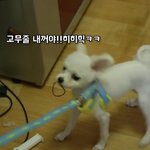 유튜버 <b>스탑</b>환 보는사람들우와봥 ㅃㄹ