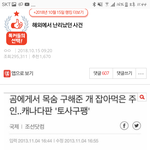 [조언부탁해] 재업,추가) 나 사이코패스냐