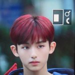[NCT] 윈윈짤<b>풀자</b>