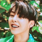 [시우민] <b>브라이트</b>그린 VS 다크그린이래(시우민)