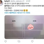 [드루와] 블랙핑크 콘서트 근황.....