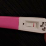 [19] 임신테스<b>트기</b>