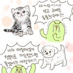 (혐+<b>미방</b>)내 피부 상태 진단 좀 해 줄 사람 ㅠㅠ