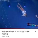 [댓글부탁해] 얘들아 북한 서커스 봐봐...개오져