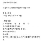 [방탄소년단] 이거 피뎊 양식 설명좀