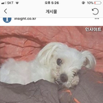 동물병원에서 <b>발치</b>수술 받다가 턱이 부러졌대