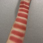 [뷰티] 나 인생립 꽤 많이 모았어 진짜 오래걸렸다..