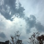 [댓글부탁해] 얘들아̆̈ 나 프듀공부법<b>할고</b>야..