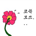 [댓글부탁해] 나만 ㅈㄴ 먹냐?? 솔직히 말해봐