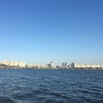 근데 진짜 아이돌 하면 정신병 걸릴듯