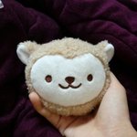 이거 봐