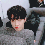 [세븐틴] ㅅㄷ) 캐러시들!