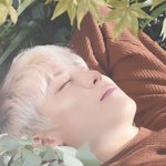 [박우진] 잠자는 <b>숲속</b>의 공주ㅠ 아니 요정 ㅠㅠ