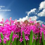 고발합니다. [데살로니가 후서 <b>2장</b> <b>1</b>-3<b>절</b> 묵상하기] 주(主)...