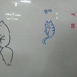 아니 왜 나는 맥주만 마시면