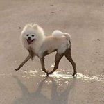 나만 지금 뭔상황인지 모르ㅡ냐