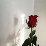 [드루와] 남자들은 색있는<b>립밤</b>안쓰나 ㅜㅜ