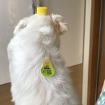 [댓글부탁해] 전남친이 <b>내</b> <b>눈</b> 앞에서 문을 쾅 닫았는데