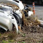 길냥이 사료랑 잠자리 질문좀