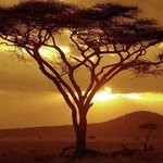 아름다운 <b>일몰</b>을 볼 수 있는 곳