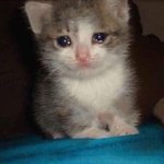 나 여자친구 생겼다!!!!!!!