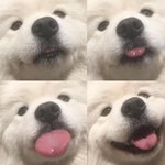 <b>폴햄</b> 롱패딩 ㅇㄸ