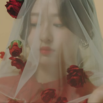[드루와] 100프로<b>정시</b>가 낫지않냐