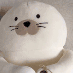 [강다니엘] 녤갤 아기대<b>츄</b>랑 빨간모쟈키링 너무 ㄱㅇㅇ