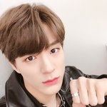 임금님 같다 <b>제노</b>